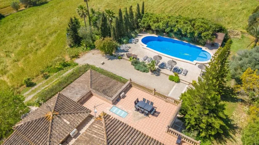 Aerial view of a house patio and swimming pool surrounded by greenery.