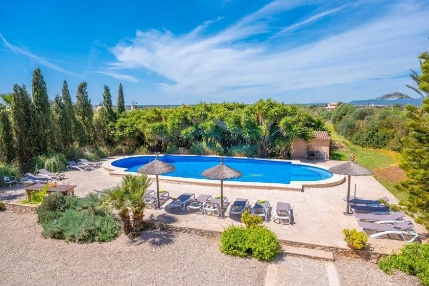 An outdoor swimming pool is surrounded by lounge seating and greenery.