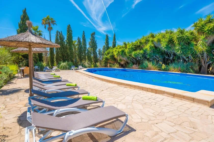 A sunlit pool area with loungers beside the water.