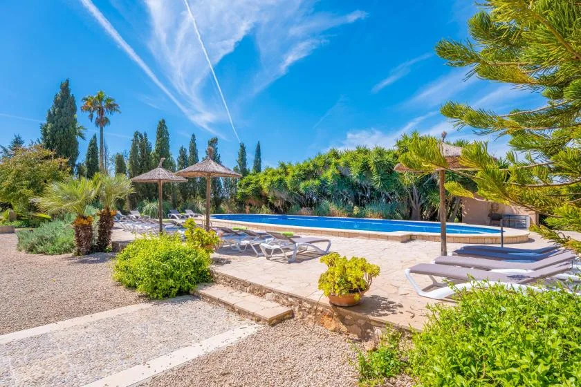 A sunny outdoor pool area with lounge seating and green plants.