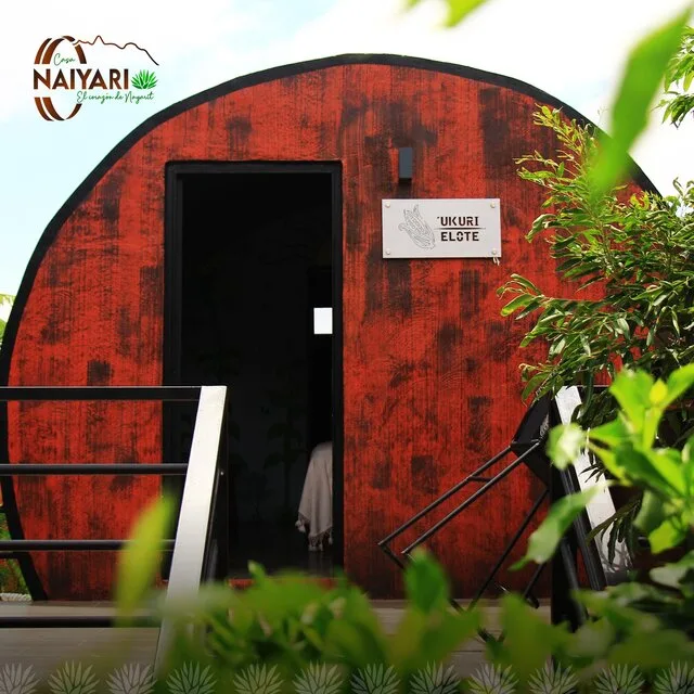 FLOR (TUUTÚ), foto 6 de la habitación