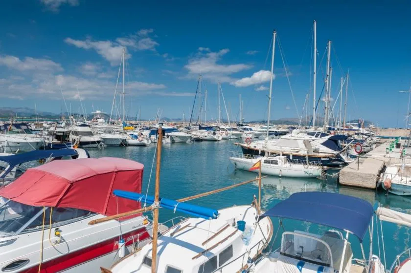Sailboats and motorboats fill a marina under a bright blue sky.