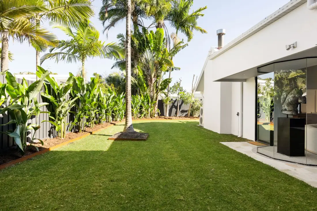 A landscaped garden with a lawn, tropical plants, and a modern white building.