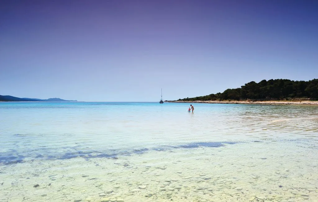 Una playa costera de aguas poco profundas se extiende bajo un cielo despejado, con una costa arbolada a lo lejos.