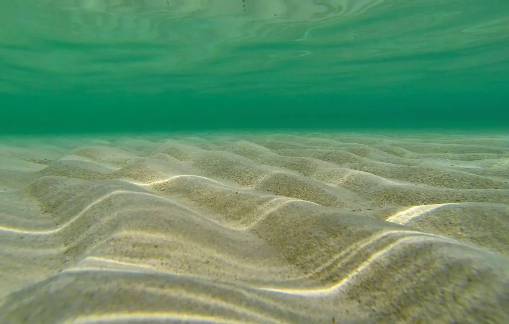 Vista submarina de un fondo arenoso ondulado bajo agua turquesa clara.