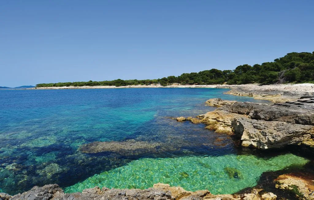 Una costa de aguas turquesas y claras, con rocas en la orilla y árboles.