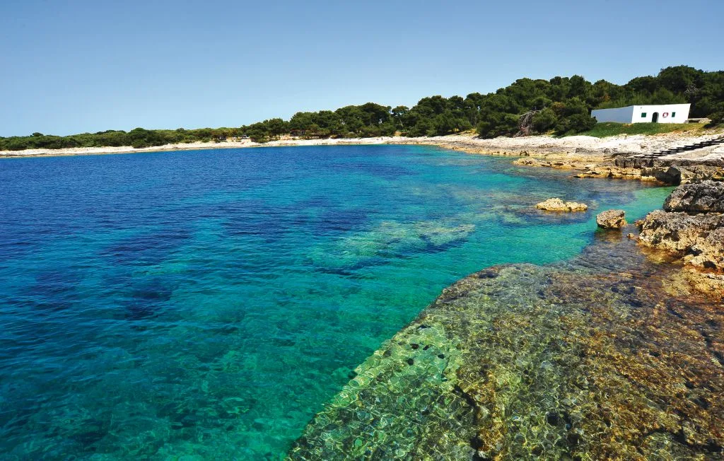 Una bahía turquesa y transparente llega a una costa rocosa bordeada de árboles.