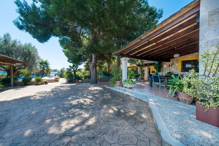 A paved outdoor patio with a shaded seating area beside a large tree.