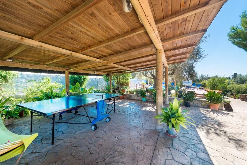 A covered outdoor patio with a ping-pong table and potted plants.