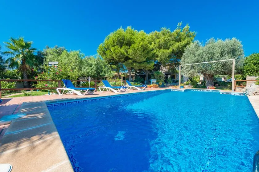 An outdoor swimming pool sits beside lounge seating and leafy trees.