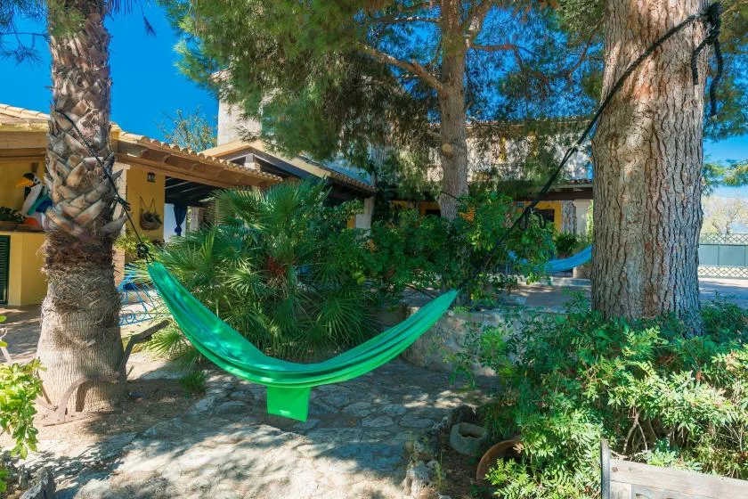 A green hammock hangs among trees and plants in a sunny courtyard.