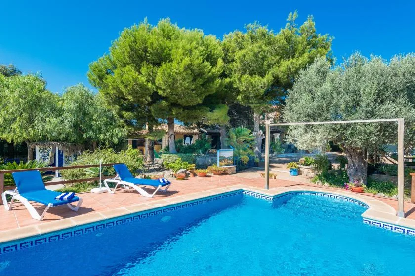 An outdoor swimming pool sits beside a tiled patio with lounge seating and trees.