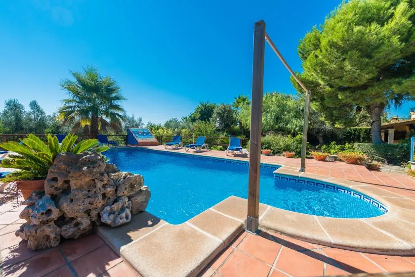 An outdoor swimming pool sits among patio tiles and leafy trees.