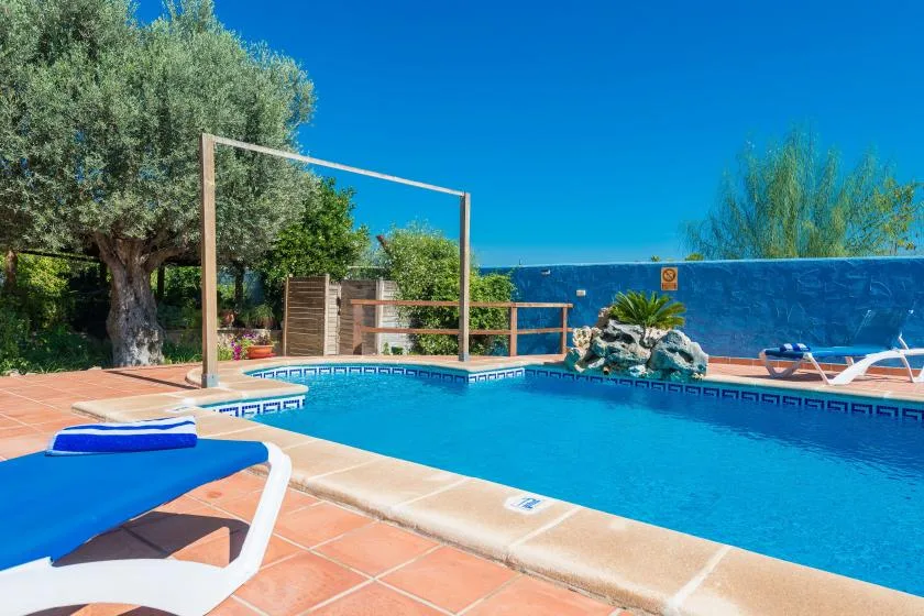 Outdoor swimming pool bordered by terracotta tiles, trees, and a blue wall.