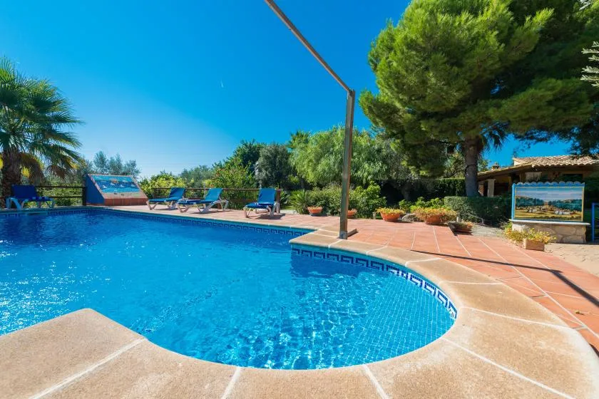 Outdoor swimming pool bordered by a terracotta-tiled patio and leafy trees.