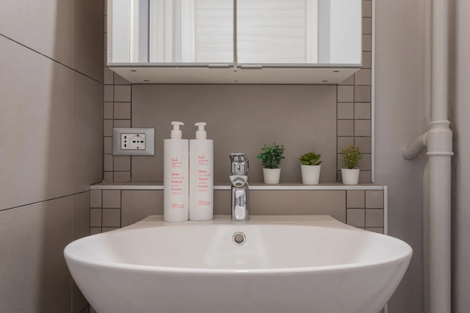 Un lavabo de baño está bajo un armario de pared, con artículos de aseo y pequeñas plantas cerca.