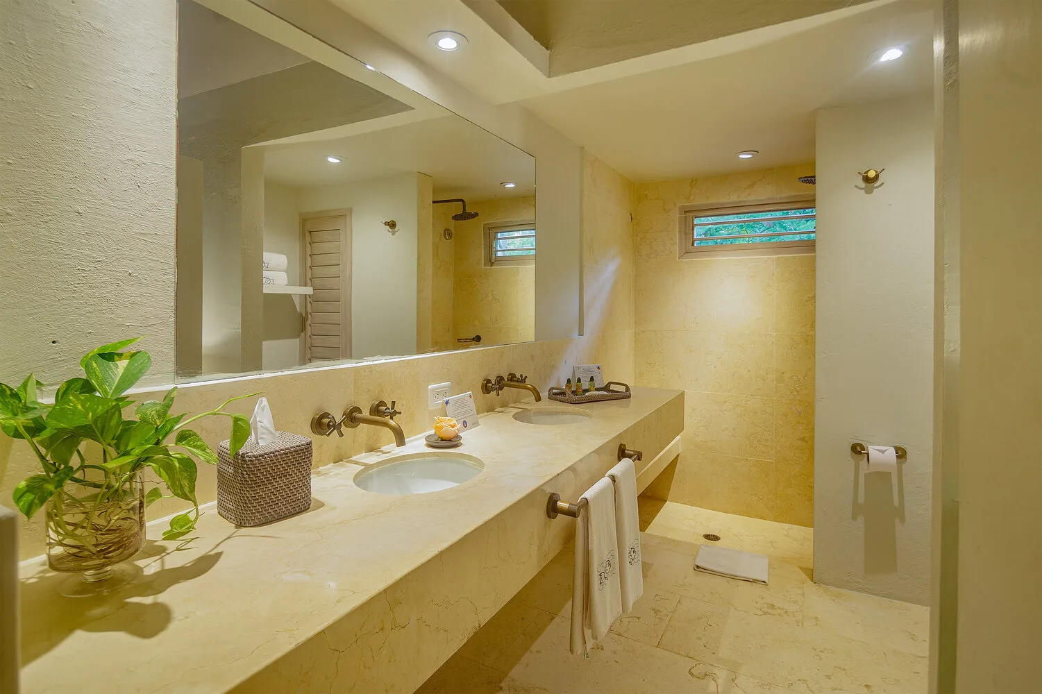 Guest bathroom