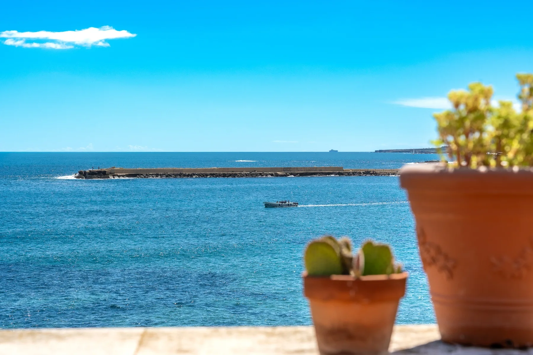 Una vista junto al mar muestra agua azul y pequeñas plantas en macetas sobre un borde.