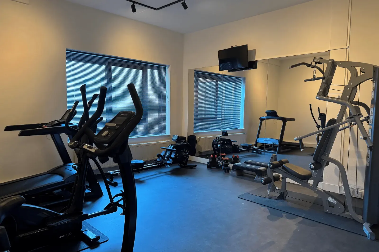 Gimnasio