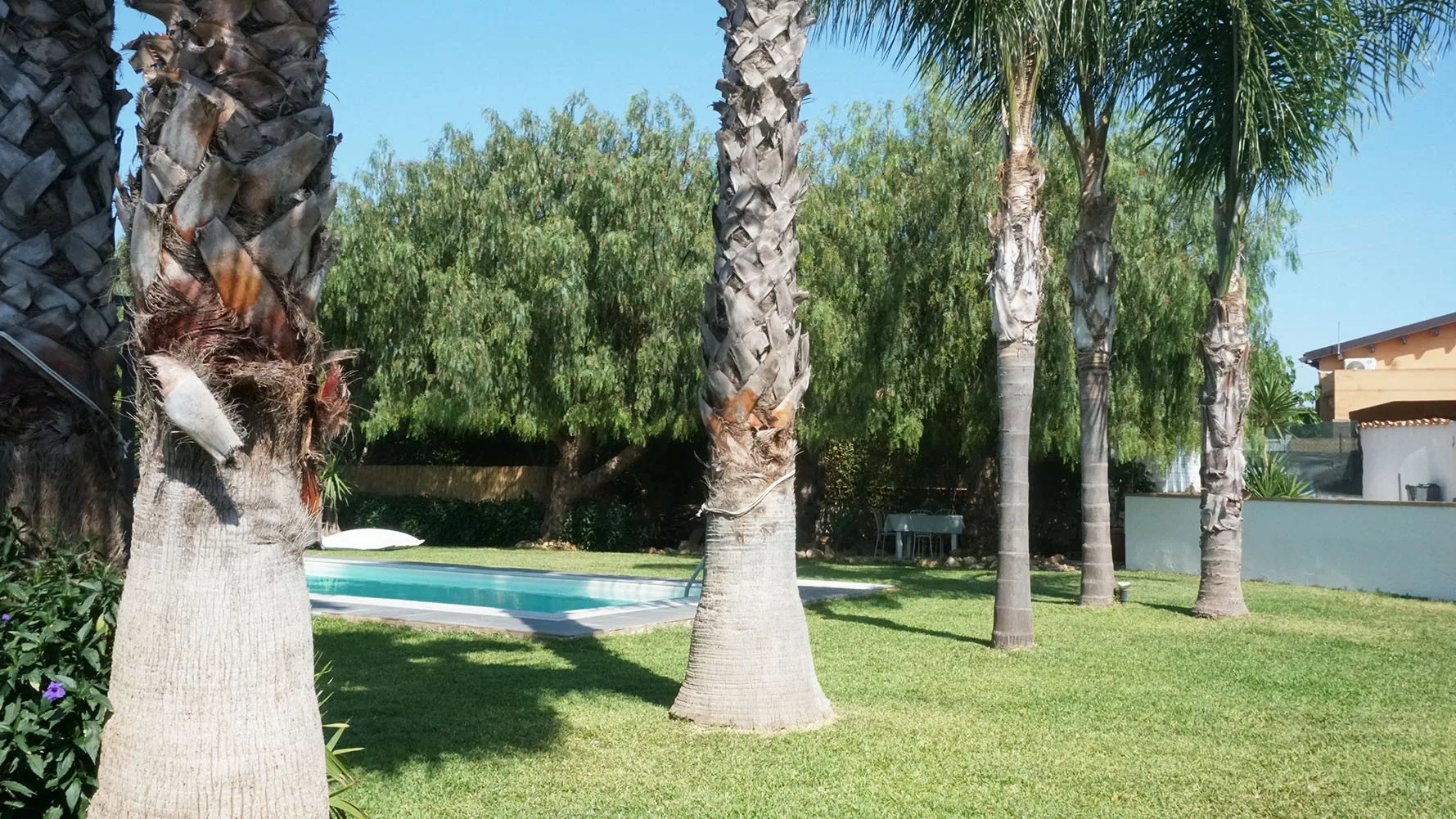 Un jardín exterior con césped, palmeras y una piscina.