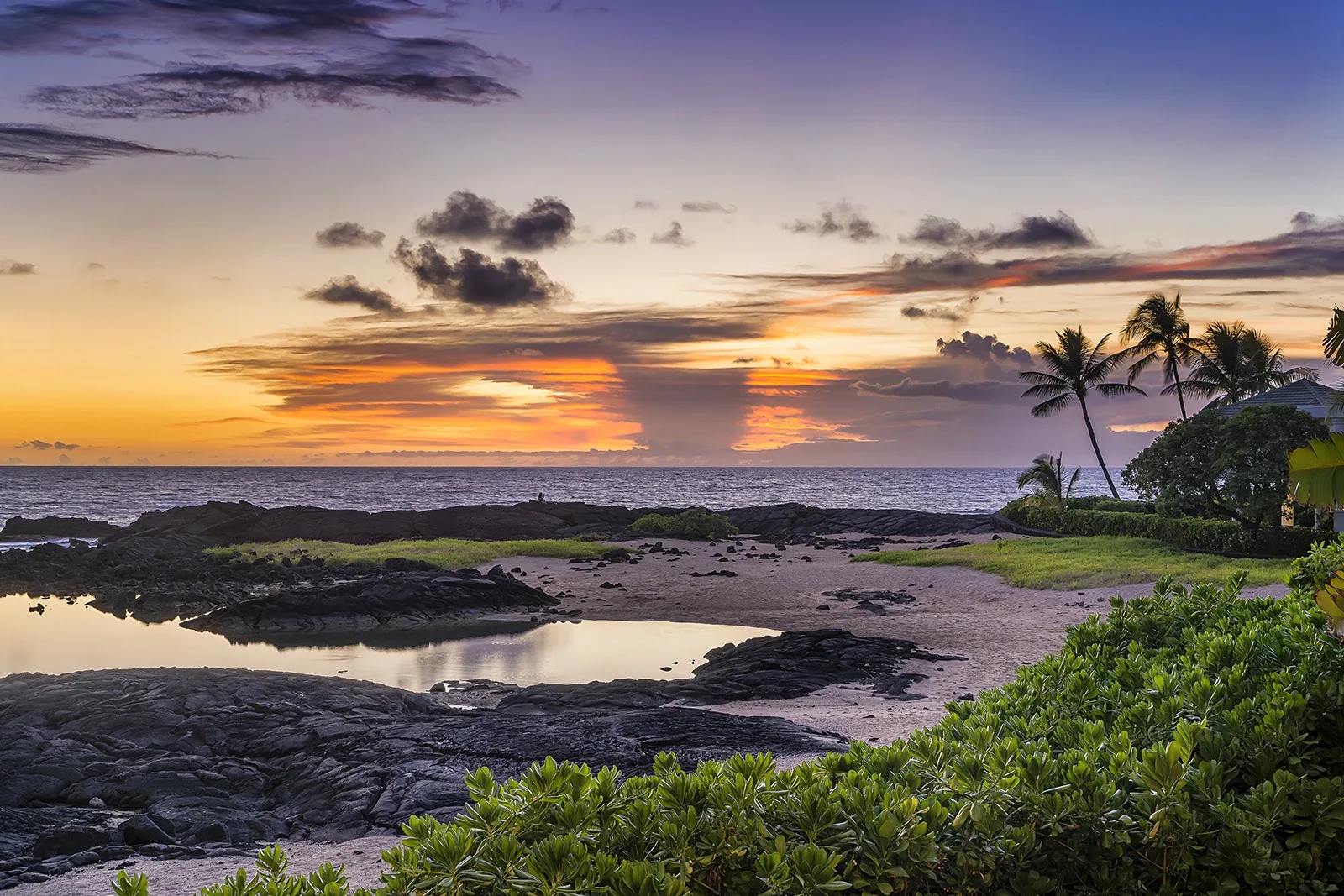 A coastal shoreline at sunset, with dark rocks and palm trees beside the water.