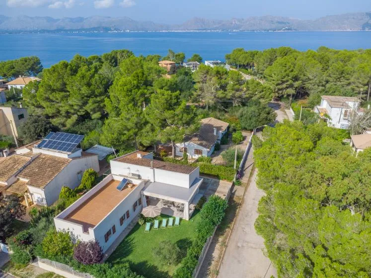 Vista aérea de casas entre árboles junto a una bahía azul.
