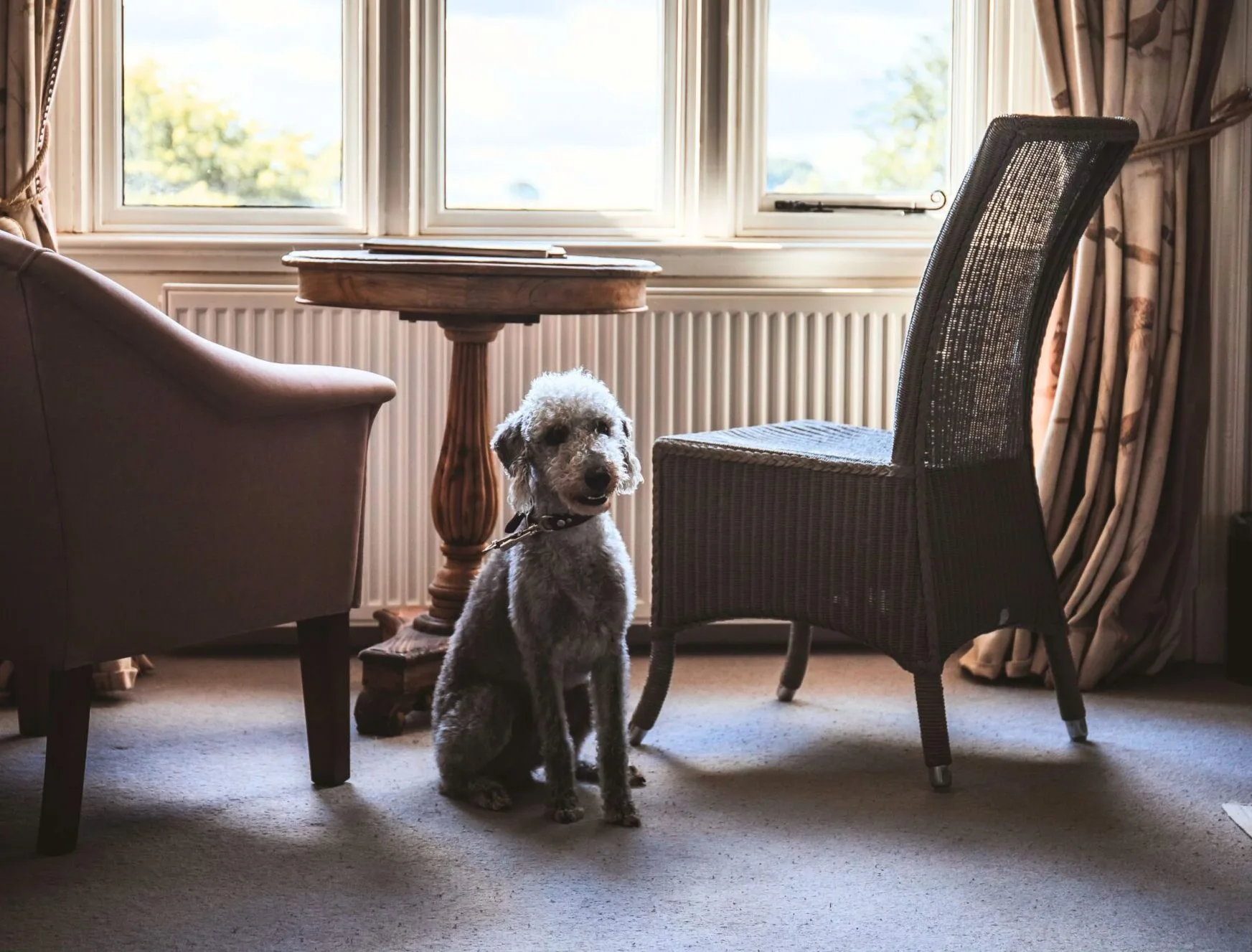 Falcon Manor accommodation
