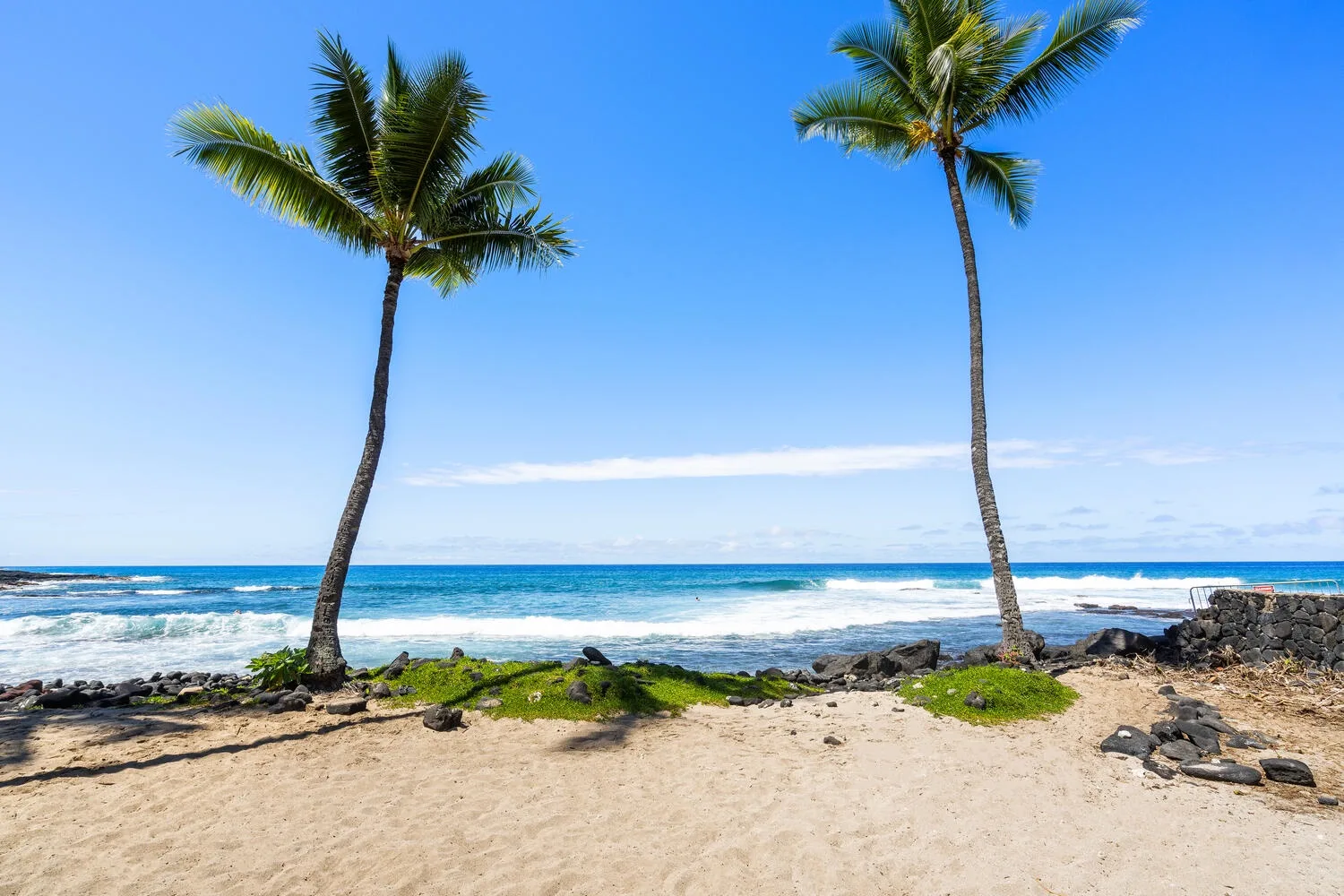 Una playa de arena con palmeras y olas del océano.