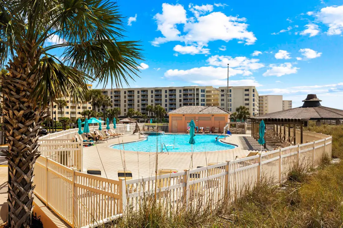 An outdoor swimming pool is surrounded by a wooden fence and palm trees.