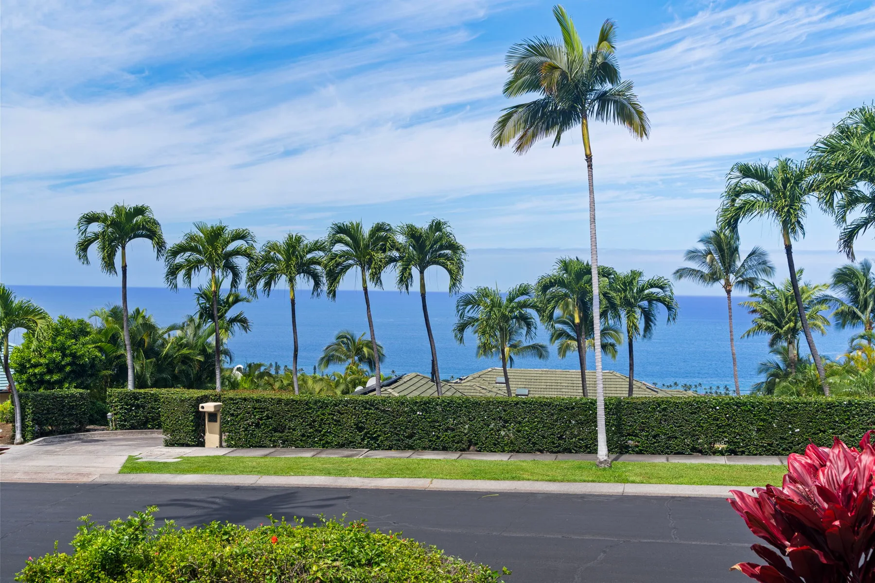 A coastal road runs past palm trees and greenery, with the ocean in the background.