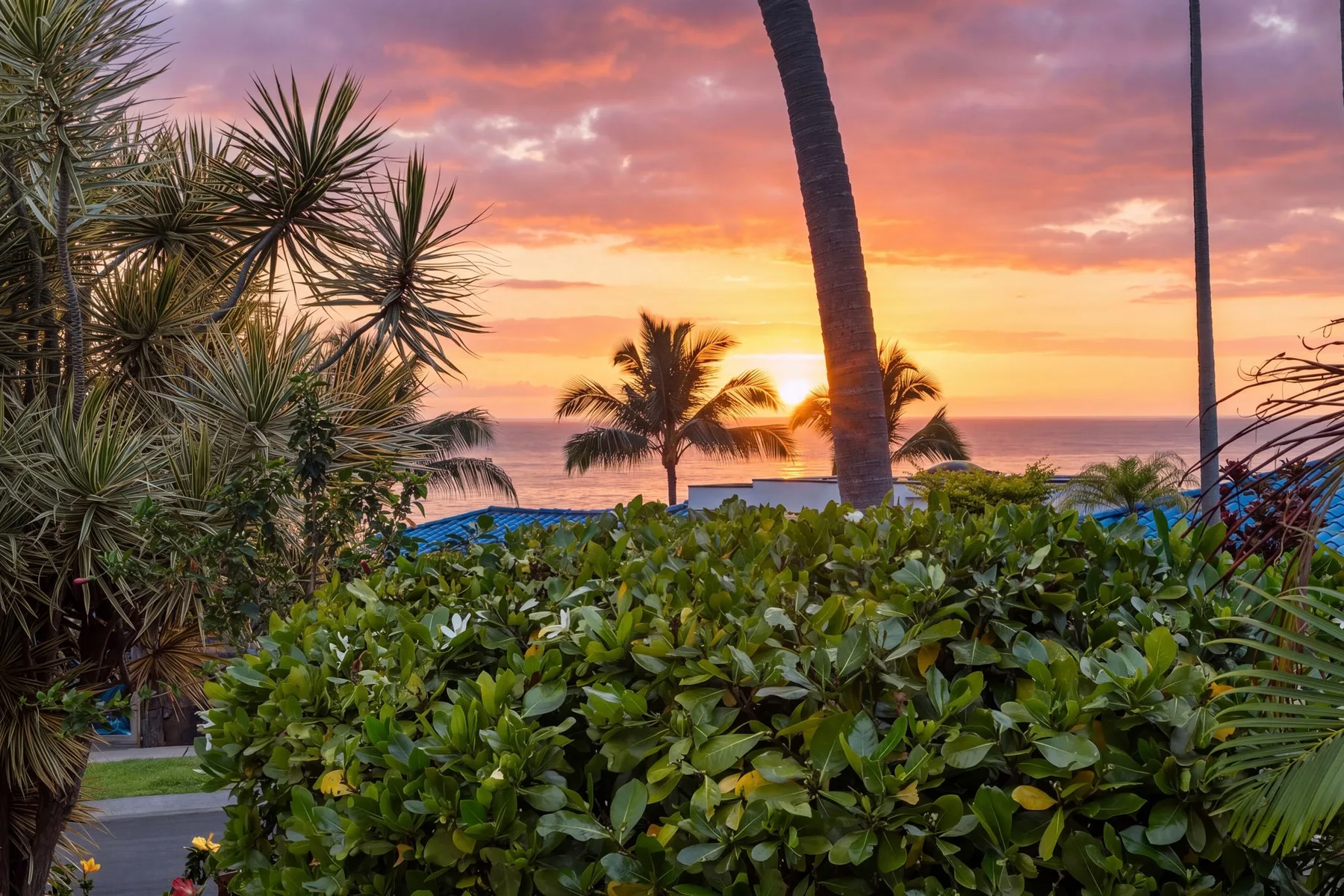 Tropical garden overlooking the ocean at sunset, with palm trees and dense greenery.