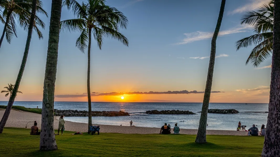 Palm trees frame a sunset over the ocean, with people gathered along the grassy shore.
