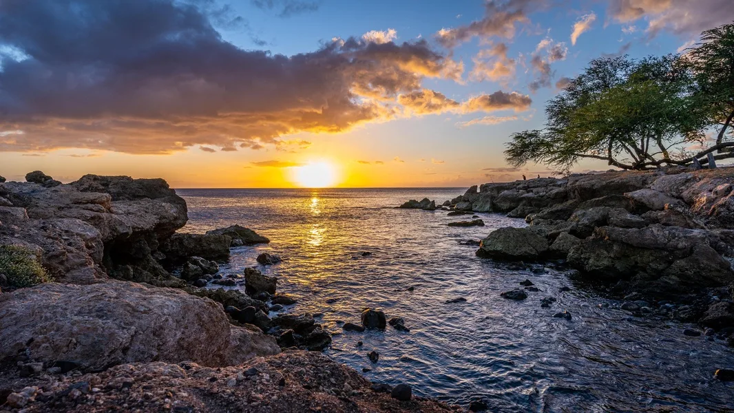 A sunset over the sea, framed by rocky shores and a tree.