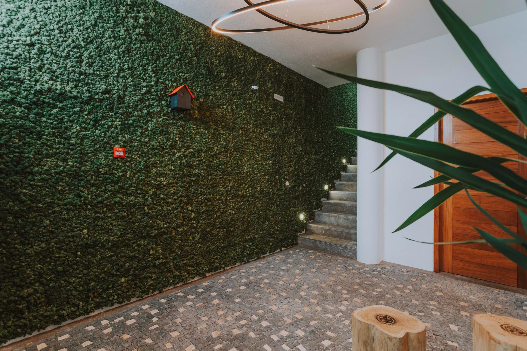 Una escalera interior junto a una pared verde texturizada y una puerta de madera.