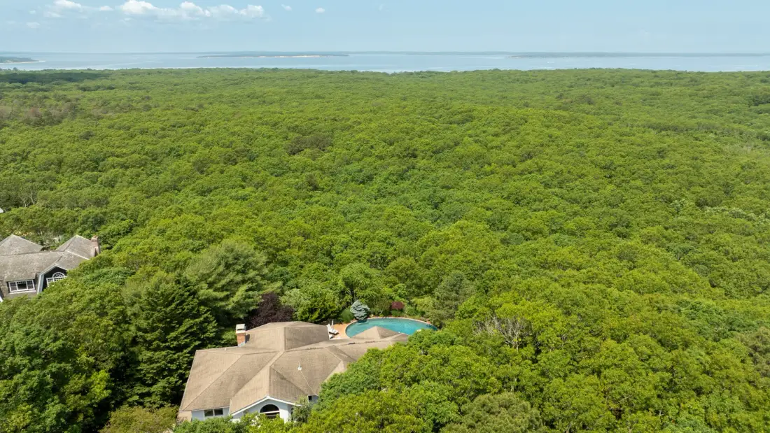 Una vista aérea muestra una casa y una piscina rodeadas de un denso bosque verde.