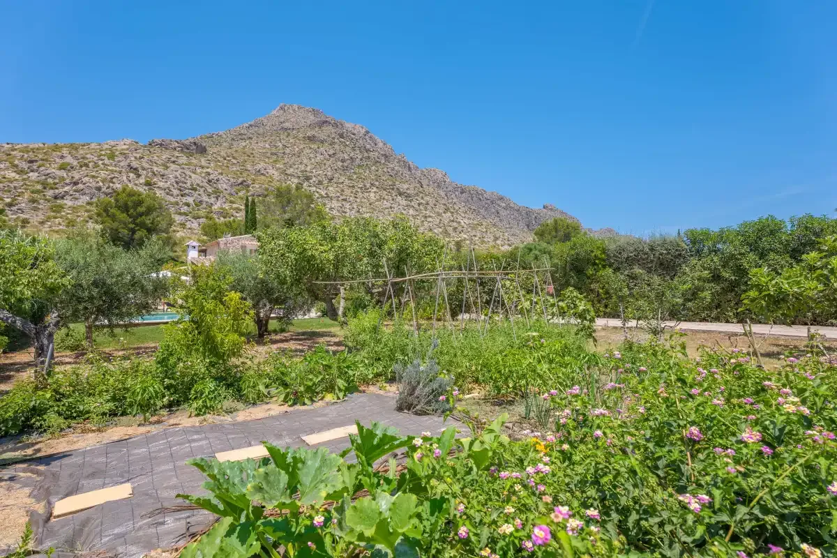 A garden path runs through flowering plants beneath a rocky mountain.