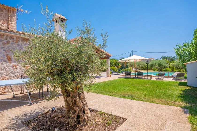 A sunny garden patio with a swimming pool and shaded outdoor seating.