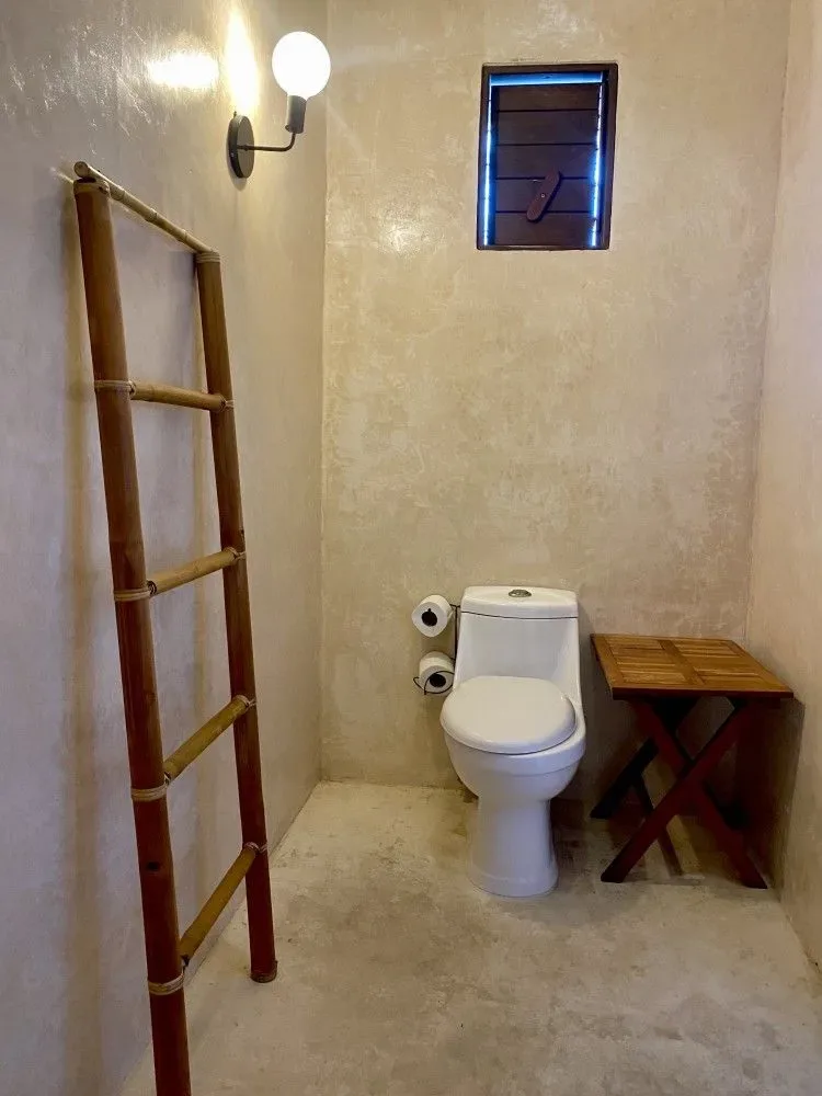 Baño rústico con inodoro, estante de madera y escalera de mano.