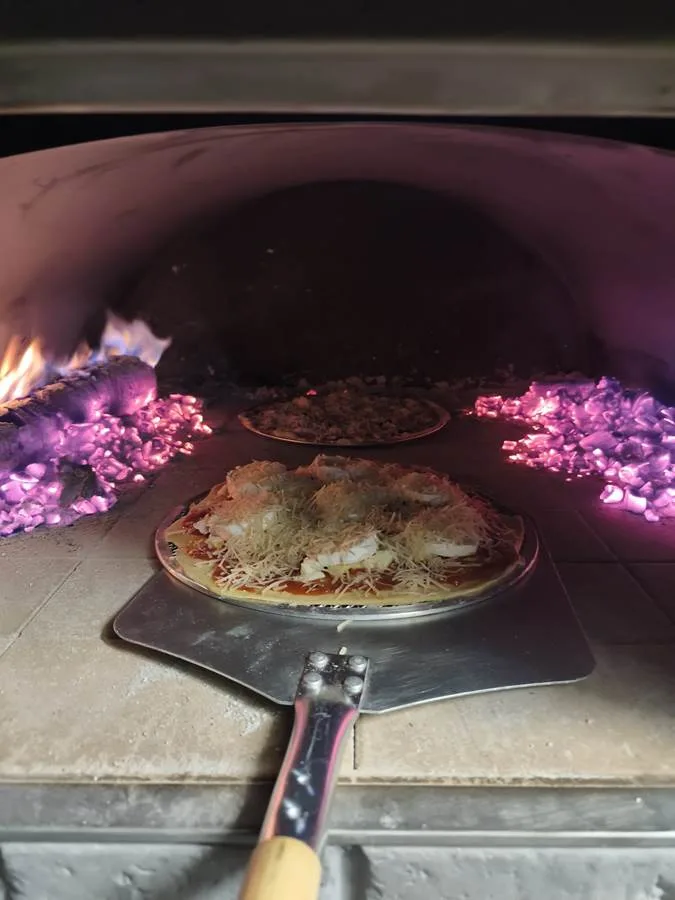 Wood-fired pizza oven