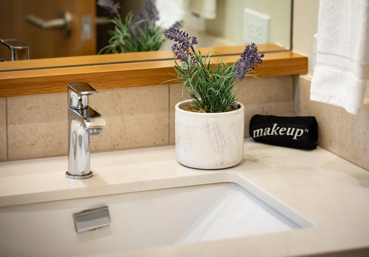 A bathroom vanity with a sink, chrome faucet, and potted plant.