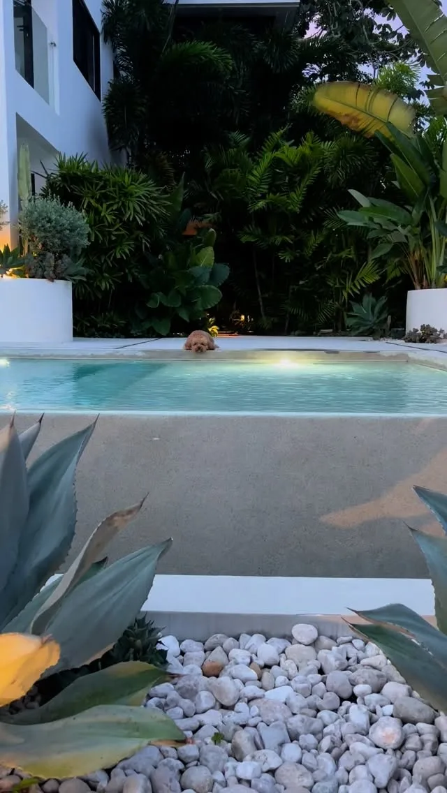 Zona junto a la piscina de Sky House