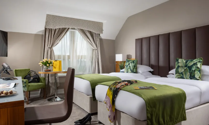Standard Twin Room
