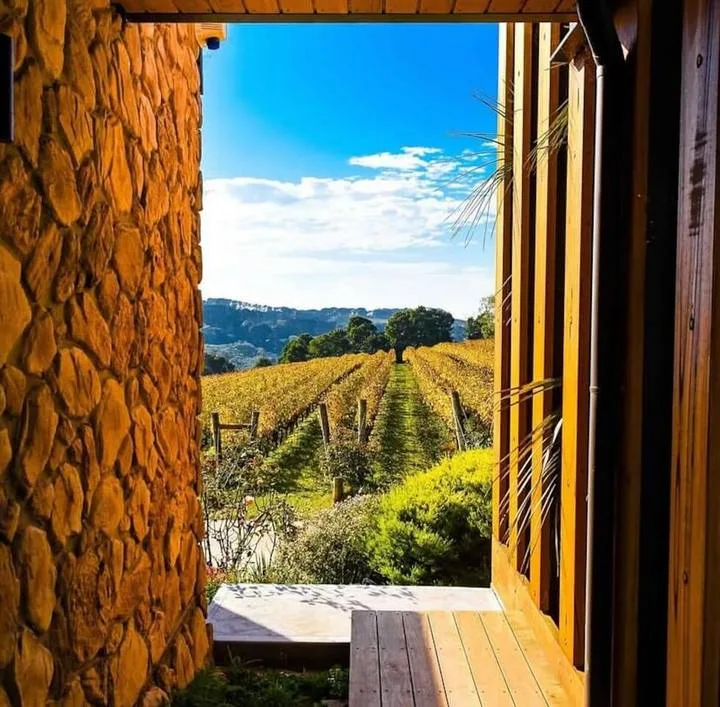A vineyard is visible through an open wooden doorway beneath a bright blue sky.