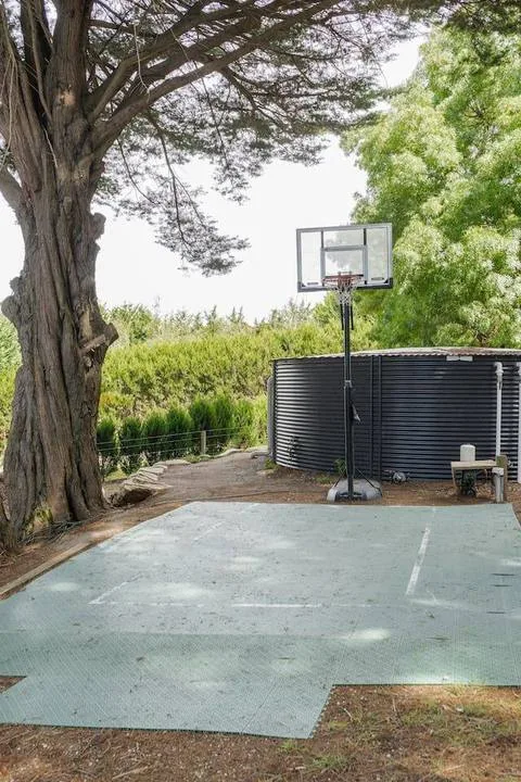 An outdoor basketball court sits beneath a large tree beside a hoop.