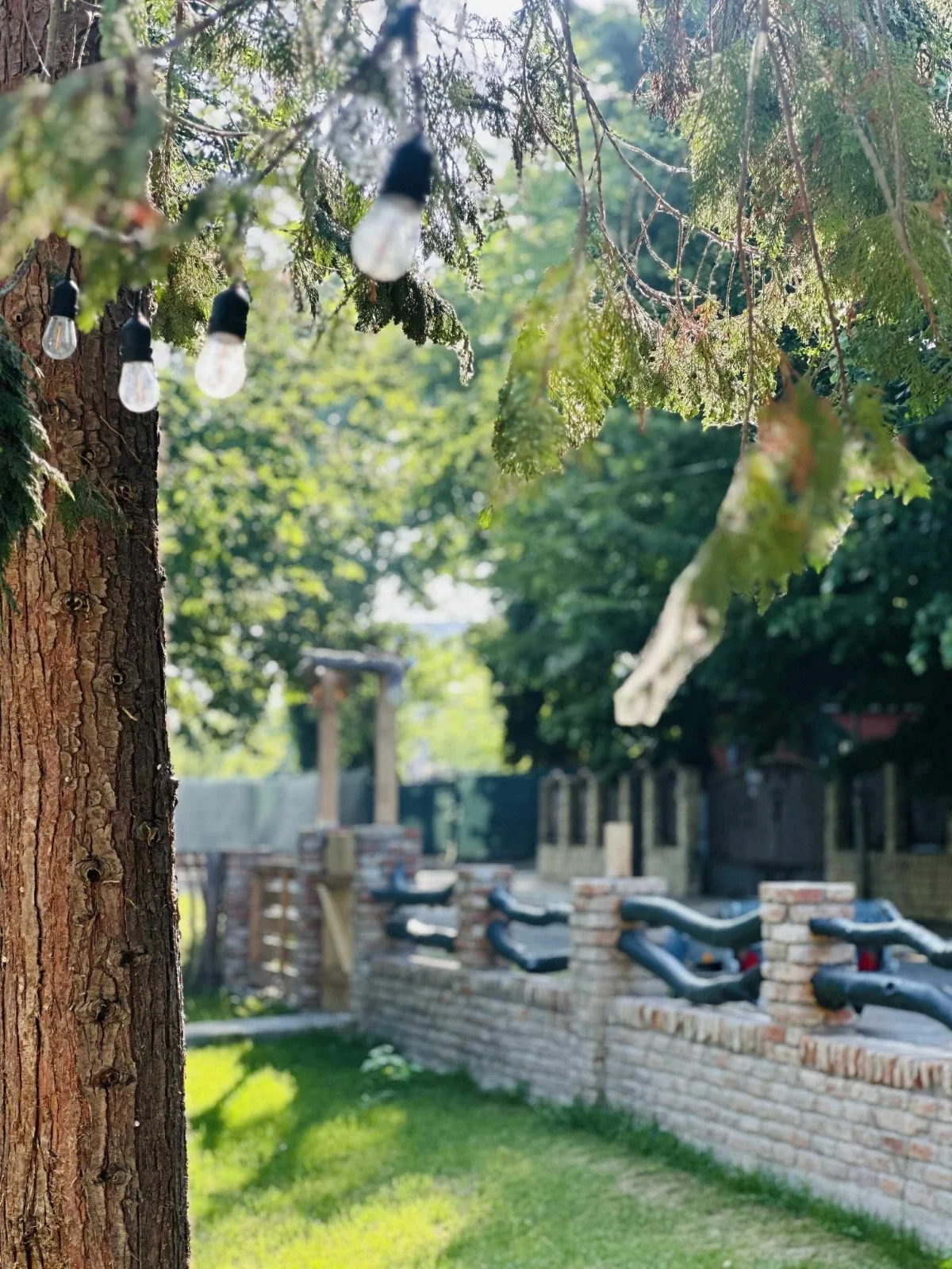 Guesthouse courtyard