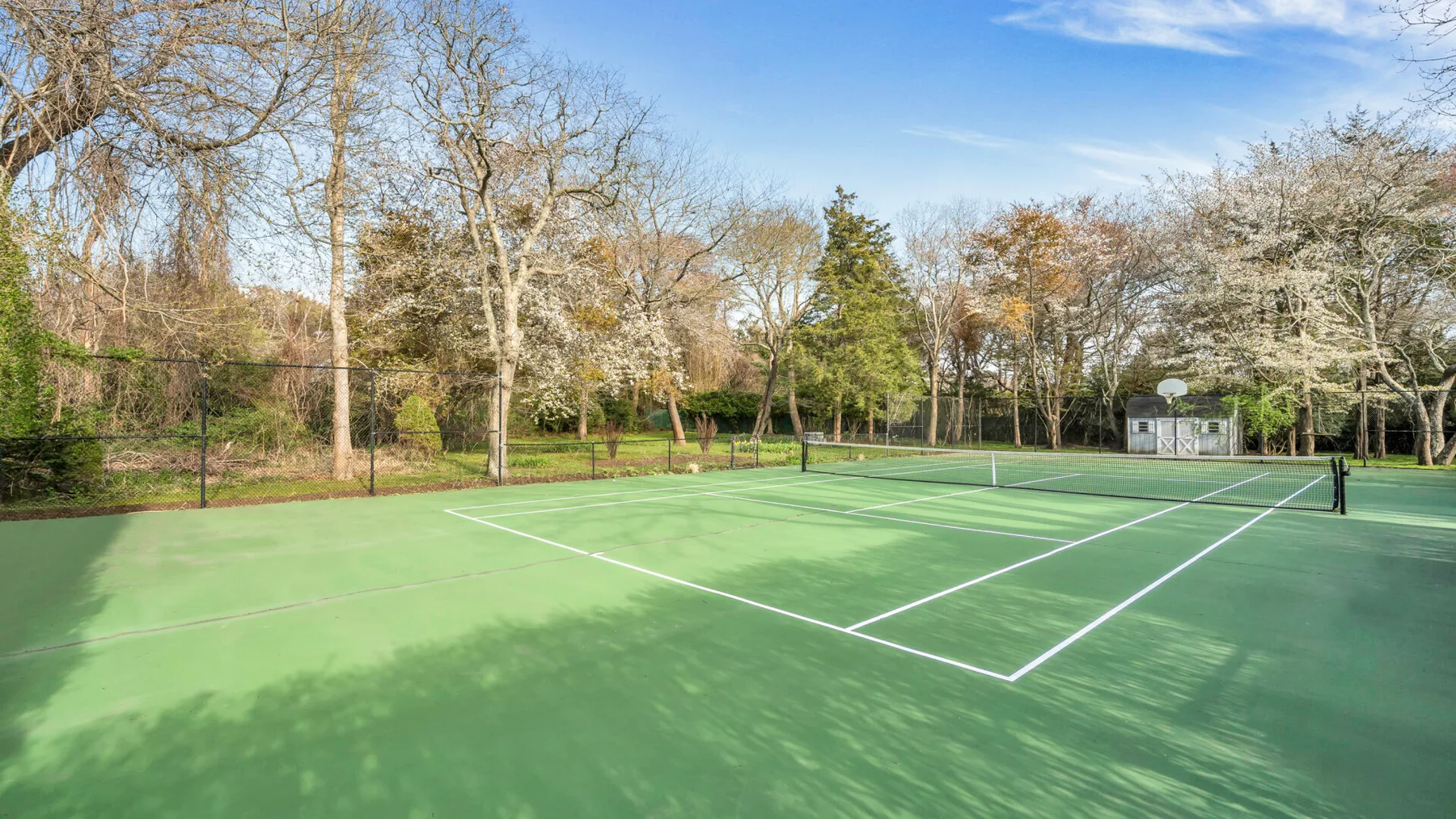 Una cancha de tenis verde está rodeada de árboles bajo un cielo azul despejado.