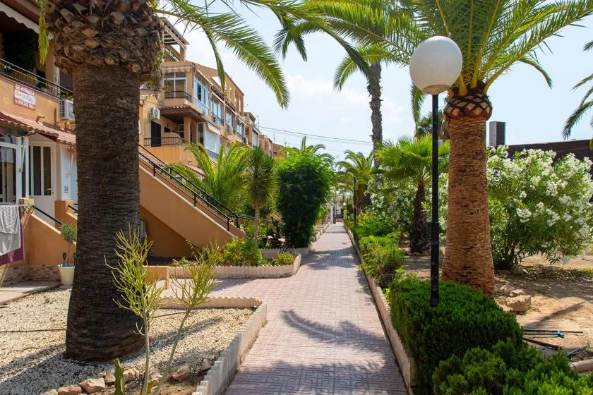 A paved garden walkway runs between palm trees and apartment buildings.