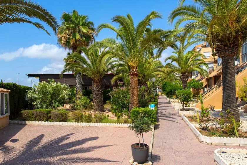 A paved outdoor walkway passes through a landscaped garden lined with palm trees.