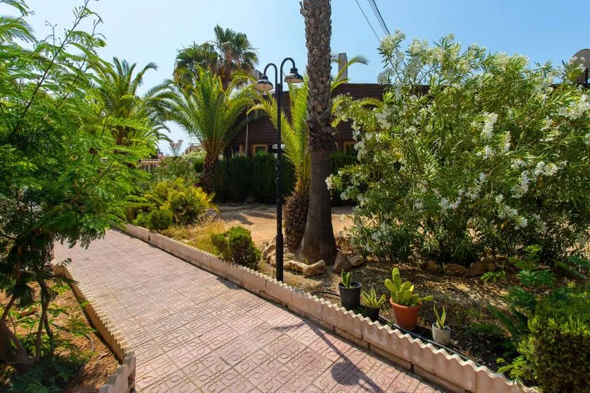 A paved garden path runs past leafy plants and palm trees.