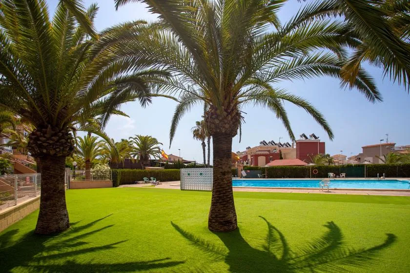 A swimming pool beside a green lawn and palm trees.